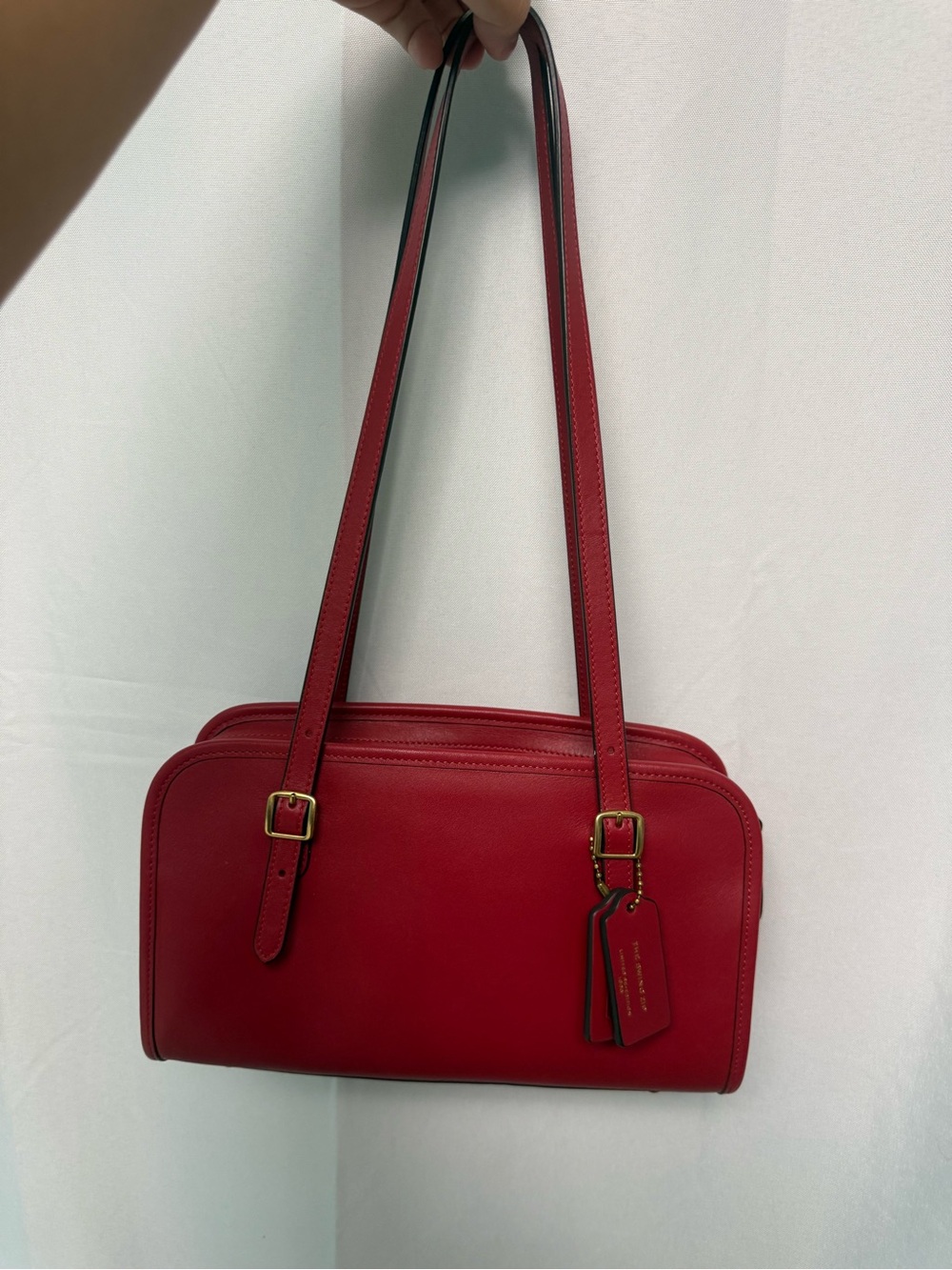 coach swing zip